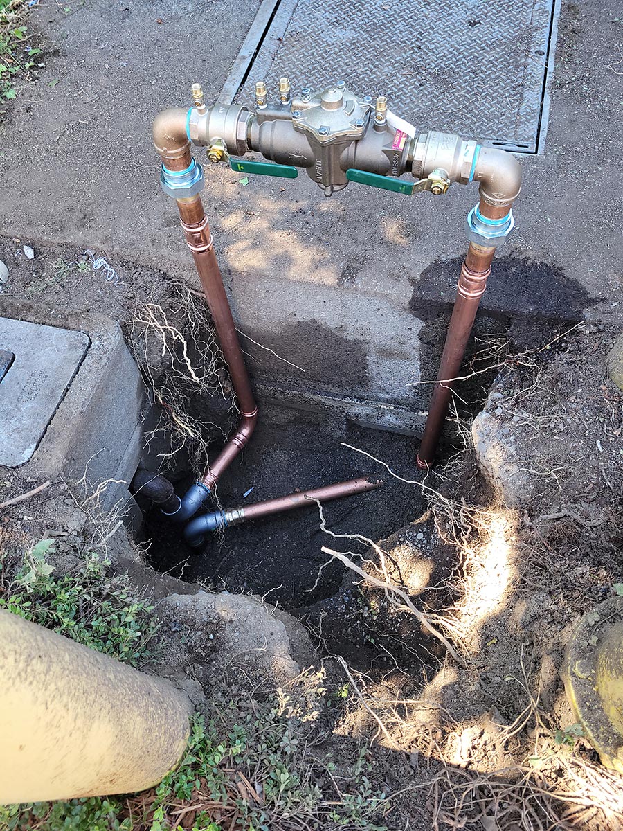 Backflow